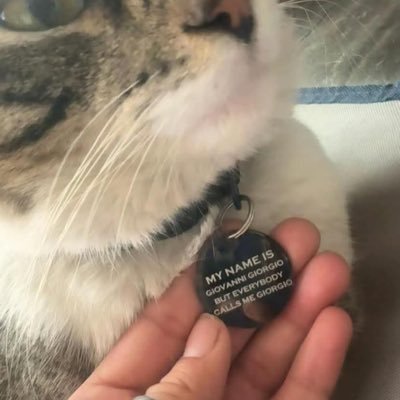 PROUD JEW 💙💅🏻 Abogada 👩🏻⚖️ 💙 🇮🇱amante de los animales 🐕 y la justicia ⚖️
