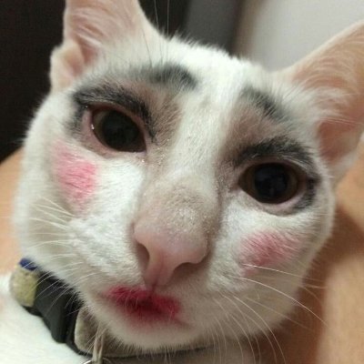 riallynot's profile picture. Beauty fades but chipke bal stay.
she/slip