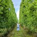 小川紗穂@GOOD HOPS (@bgogawa) Twitter profile photo 小川紗穂@GOOD HOPS (@bgogawa) Twitter profile photo