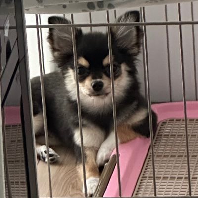 uchan635890681's profile picture. 主に見る専のAimer⚯̫好き🐢 音楽、映画、観劇などなど雑多です。