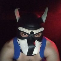 Genky/sumiso Bdsmero🙇🏻♂️ (@unintermas) 's Twitter Profile