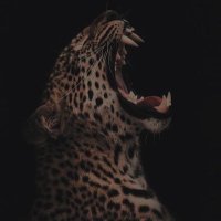 3:16 (@fji_23) 's Twitter Profile