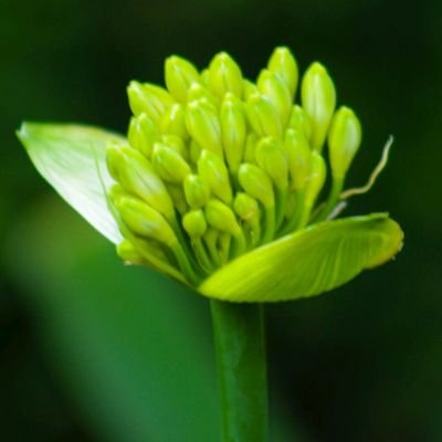 lebeauchtableu's profile picture. 