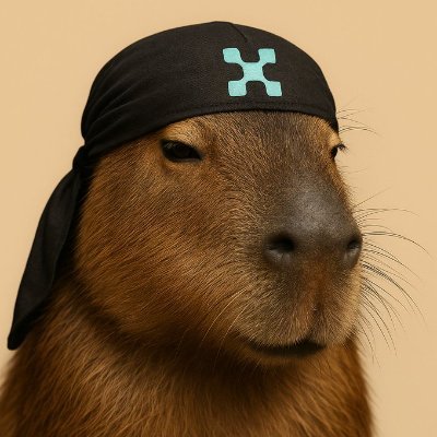 ● 热衷分享Web3撸毛攻略
● DeFi、空投、零撸机会一个不落
● 技术人的逻辑思维,在投资里很有用