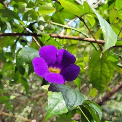 ರುಕ್ಕು Profile