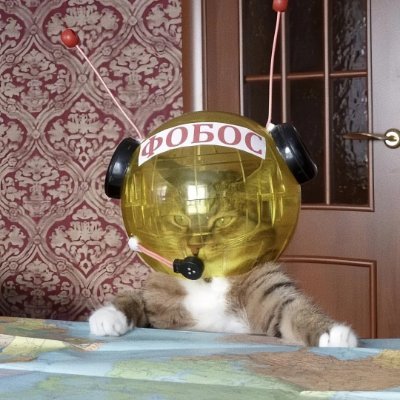 westnoon22034's profile picture. 