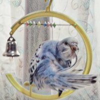 bluebird9845 (@bluebird98cosmo) 's Twitter Profile Photo bluebird9845 (@bluebird98cosmo) 's Twitter Profile Photo