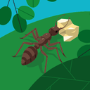 Luna.Clark - @scott75461 - Twitter