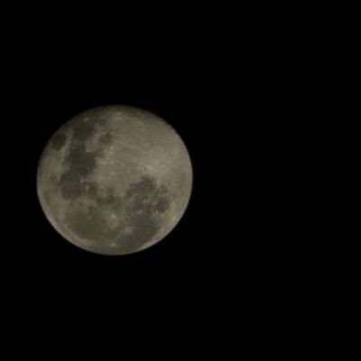 Fernand78880557's profile picture. Naturalidad, humilde pero con clase.