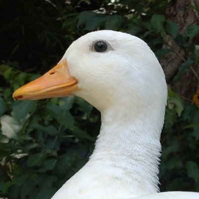 kindof70254708's profile picture. sub account