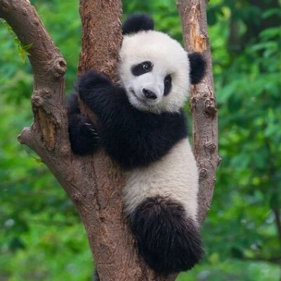 LiBiDobutsu's profile picture. いろいろフォローしたり、人に言えないプレゼントに応募したり、人に言えない集まりにこっそり参加してみたり、時には人に言えない自分の恥ずかしい秘密を語ってみたり・・・そんな闇垢です。