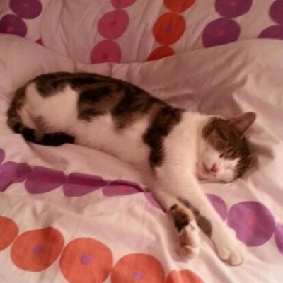 MNKhalidMahmood's profile picture. 