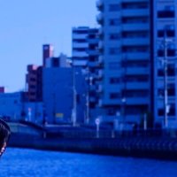あお にじそ通販してます詳細🗝まで (@momoko202210) 's Twitter Profile