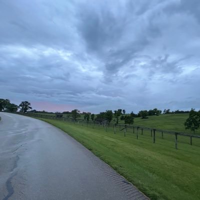 FormerDemocat's profile picture. 