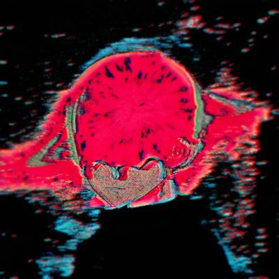 0xLemmel's profile picture. good people ｡ good times ｡