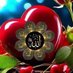 siddiq mubariz (@sediqsiddiq) Twitter profile photo siddiq mubariz (@sediqsiddiq) Twitter profile photo