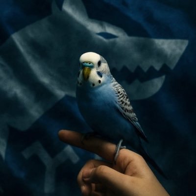 Biliyorum aynı düşüncelerdeyiz seninle | @kisacacici