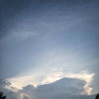 0xyz (@0xyz250396) 's Twitter Profile