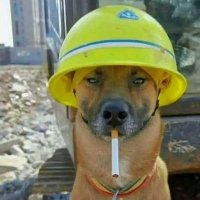 πΉπππππ (@nassdaq1) 's Twitter Profile