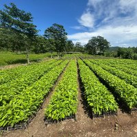 Central Assam Circle, Guwahati (@centralassam) 's Twitter Profile Photo