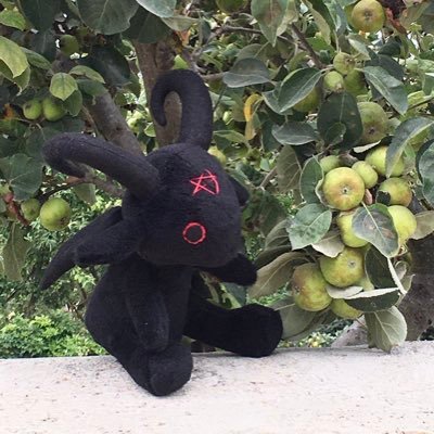 sadangel_gb's profile picture. A veces, la pipa amarga de la bolsa. Autora de “La Divina Tragicomedia”. https://t.co/Xnz5ahRWAw https://t.co/vkwbvawTig