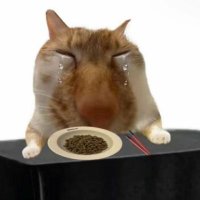 개덩신 (@geabyeongsin) 's Twitter Profile Photo 개덩신 (@geabyeongsin) 's Twitter Profile Photo