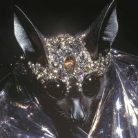 Celestialist (@thecelestialist) 's Twitter Profile