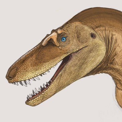 古生物学者を目指している高校1年生 好きな恐竜はスピノサウルス ※絵の無断転載と他者のAI学習の使用を禁止します。 インスタの垢↓