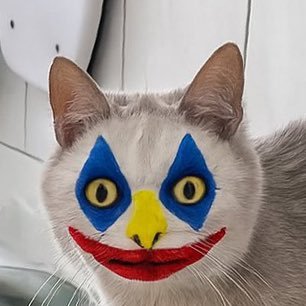 opepenpost's profile picture. DEGEN IS THE BEST way  RETARDIO