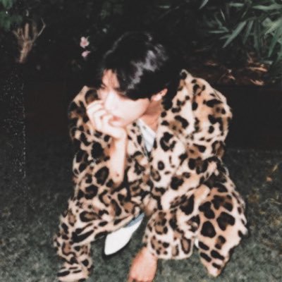leopardtae's profile picture. thv rawr OT7