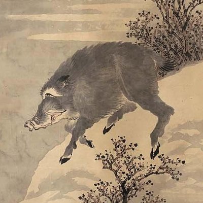 h_siberiana's profile picture. 