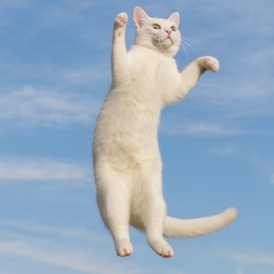 AlexVadym1384's profile picture. YouTube: @fonya19777  Tik Tok: @fonya329