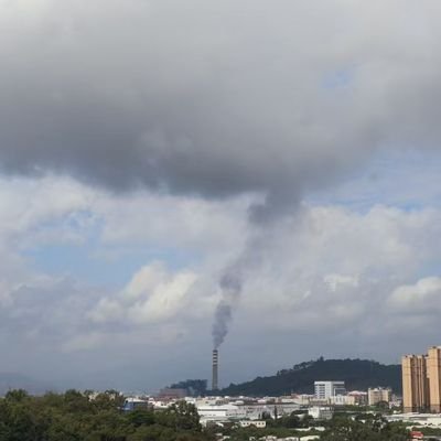 rauprashu's profile picture. 