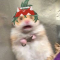 キャタピー (@kyatapi_dayo) 's Twitter Profile
