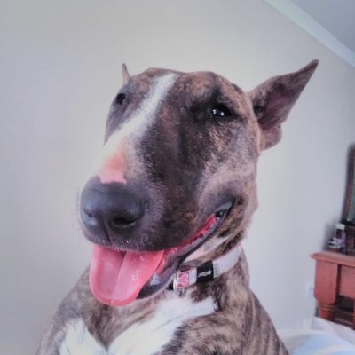 samanthavanas's profile picture. 