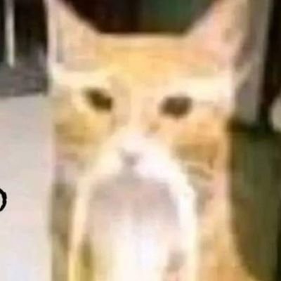 wisdomtwerks's profile picture. 