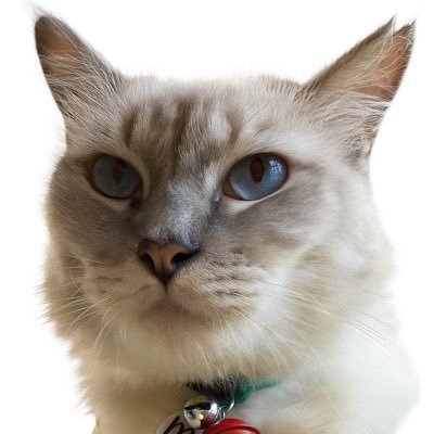 nunudeseu's profile picture. mau jadi kucing aja