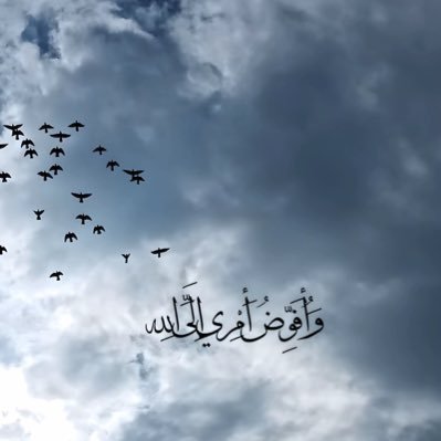 fatimatouA56351's profile picture. 