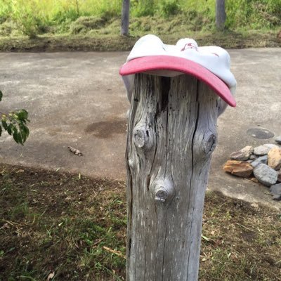 okochiyasuodasu's profile picture. 