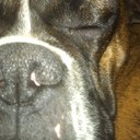 Robert_Mathis - @mathisrob - Twitter