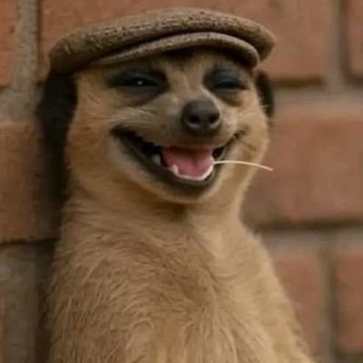 anotherguy48427's profile picture. Pengeleke