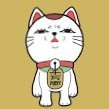 あいるーさんのプロフィール画像
