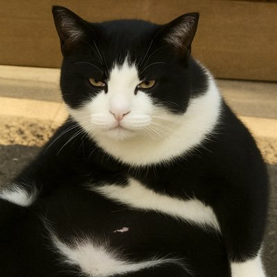 i_h_account's profile picture. （※）営業、勧誘目的のDMは、おやめ下さい。｜｜皆さま、初めまして。井上と申します。27歳の男性です。現在、デイトラというオンラインスクールで、Web制作を学ばせて頂いております。普段は会社勤めをしております。何卒、お願い申し上げます🙇