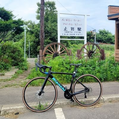 鱒浦かめさんのプロフィール画像