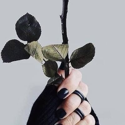 frdytm1899's profile picture. i belong to Allah😇