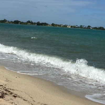 501drea's profile picture. 