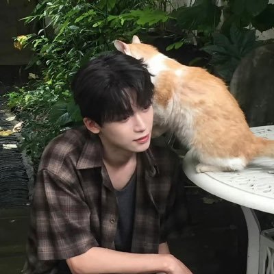 phobokhonghanh's profile picture. 一切都会越来越好 💙