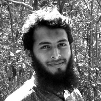 husain_dev's profile picture. Web Designer.