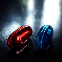 LELIEVRE Ludovic #LaMeute 🐢🐇 (@2022_109) 's Twitter Profile Photo LELIEVRE Ludovic #LaMeute 🐢🐇 (@2022_109) 's Twitter Profile Photo