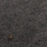 Abby (@saps132tw0) 's Twitter Profile